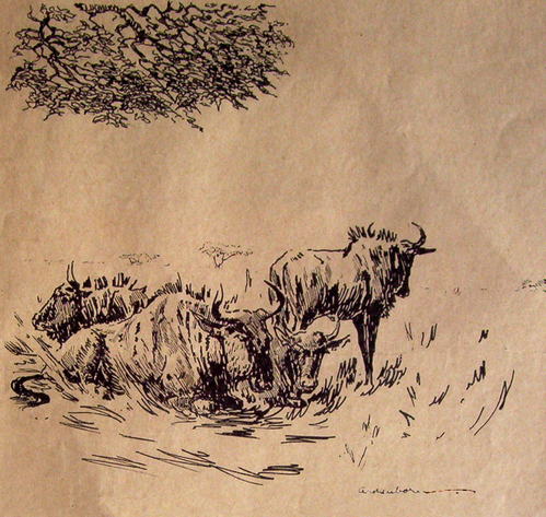 Bild Gnus von Uli Aschenborn